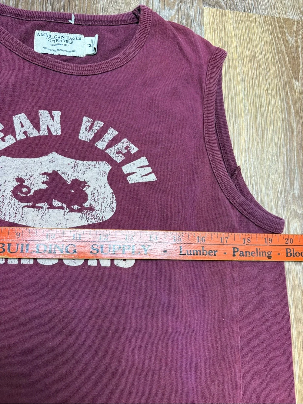 American Eagle Outfitters Maroon Dragon Graphic Tank